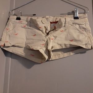 Hollister shorts